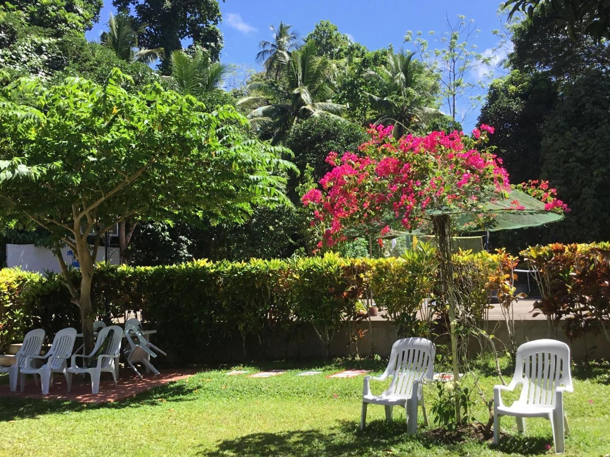 Camiguin Lanzones *