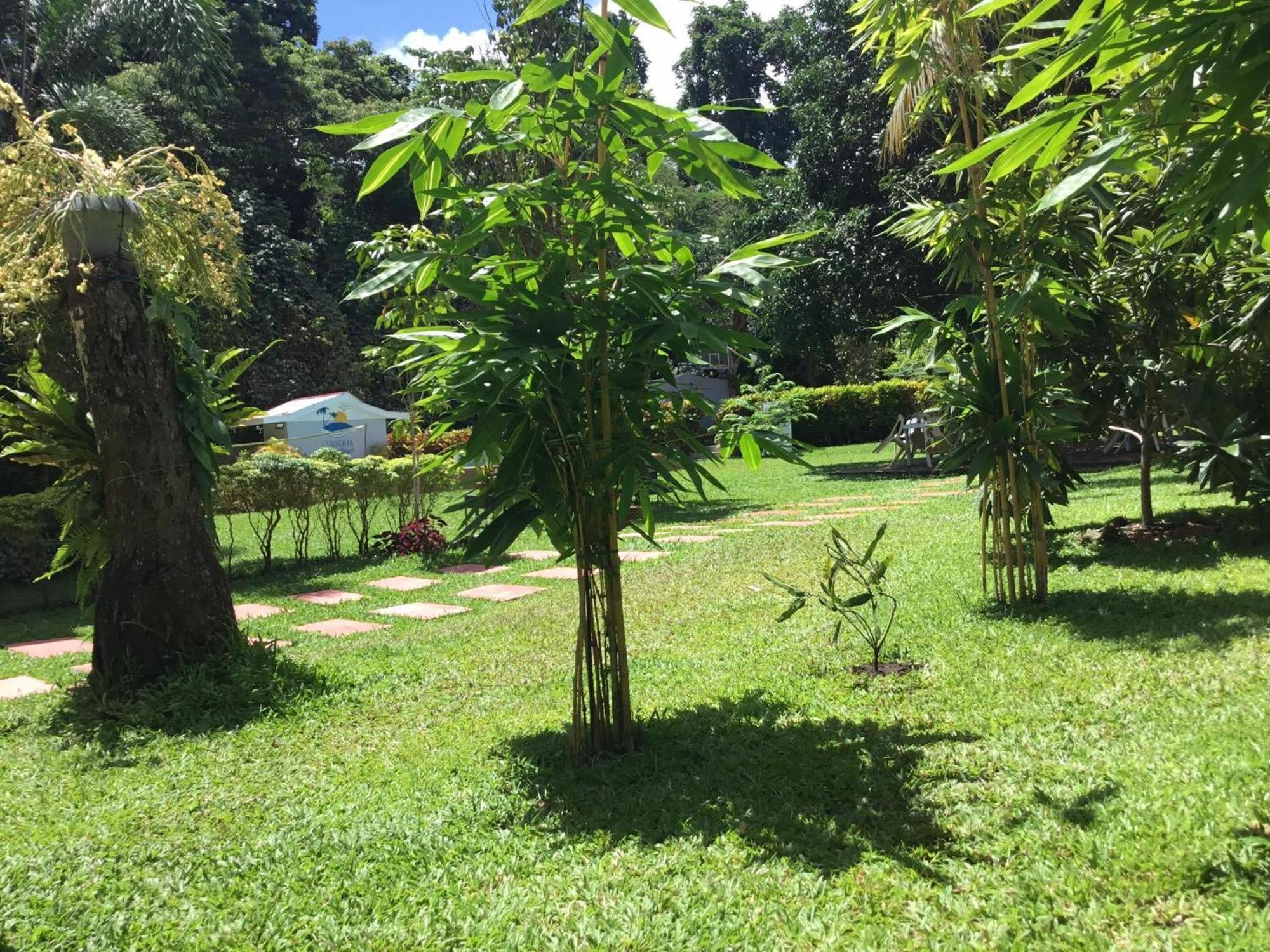 Camiguin Lanzones Aparthotel Mambajao