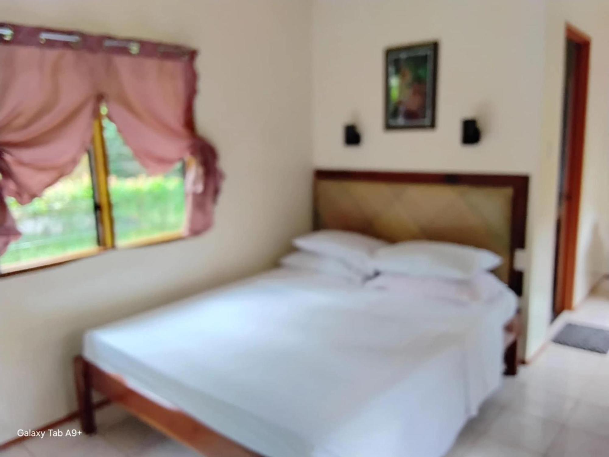 Camiguin Lanzones * Mambajao