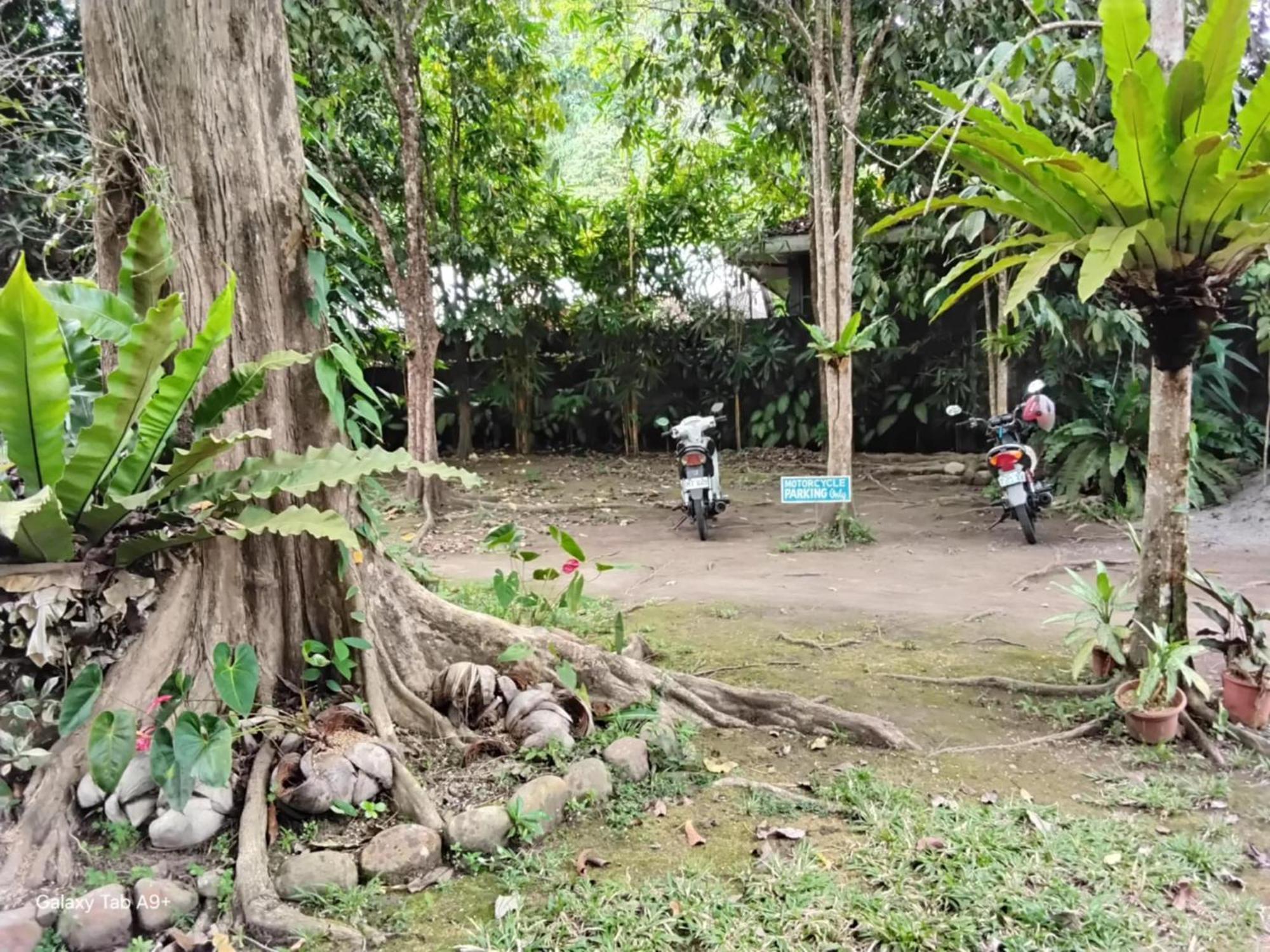 Camiguin Lanzones Aparthotel
