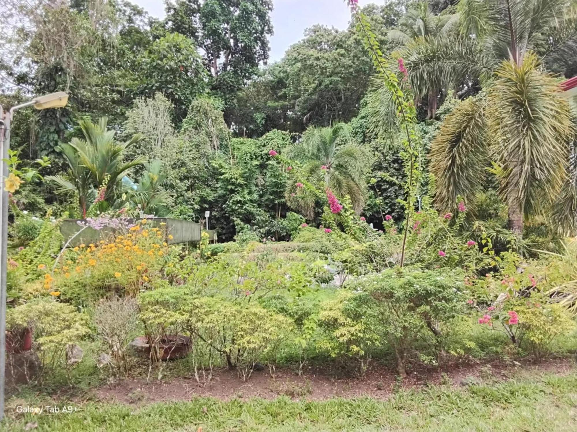 Camiguin Lanzones Aparthotel Mambajao