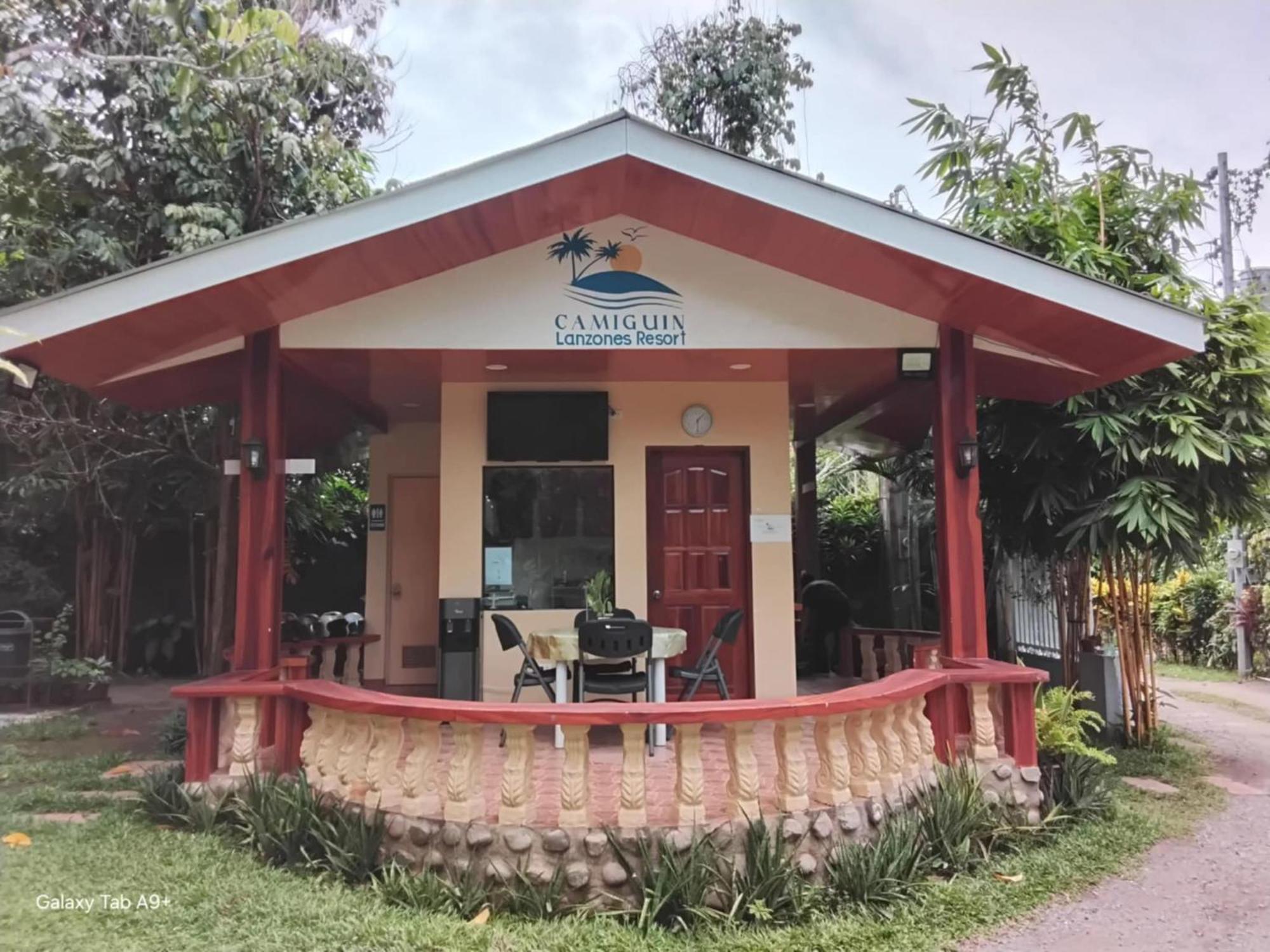 Camiguin Lanzones *
