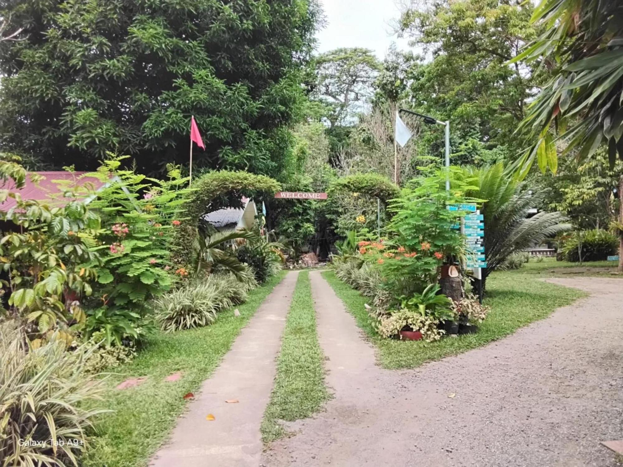 Camiguin Lanzones Mambajao