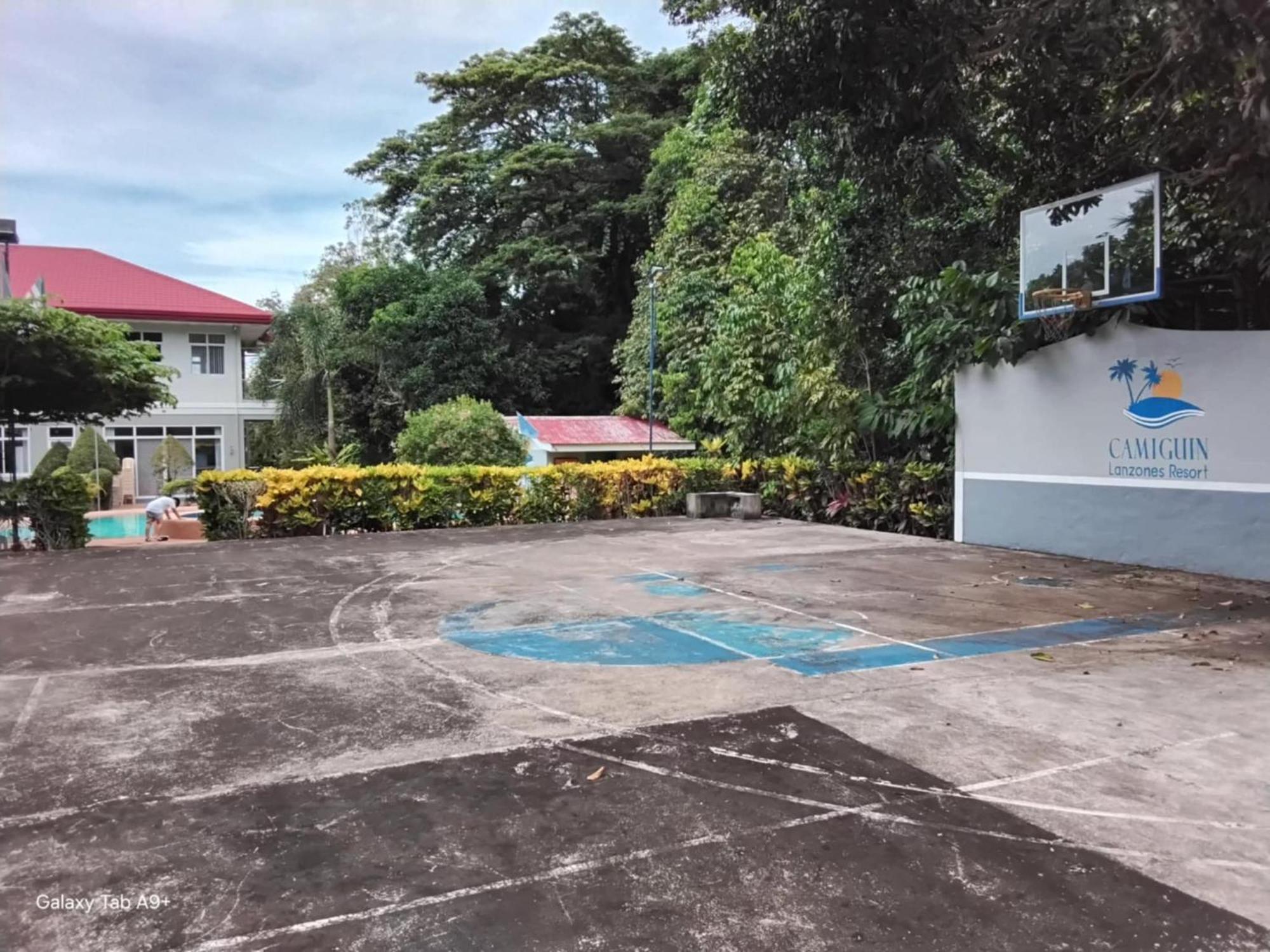 Camiguin Lanzones * Mambajao